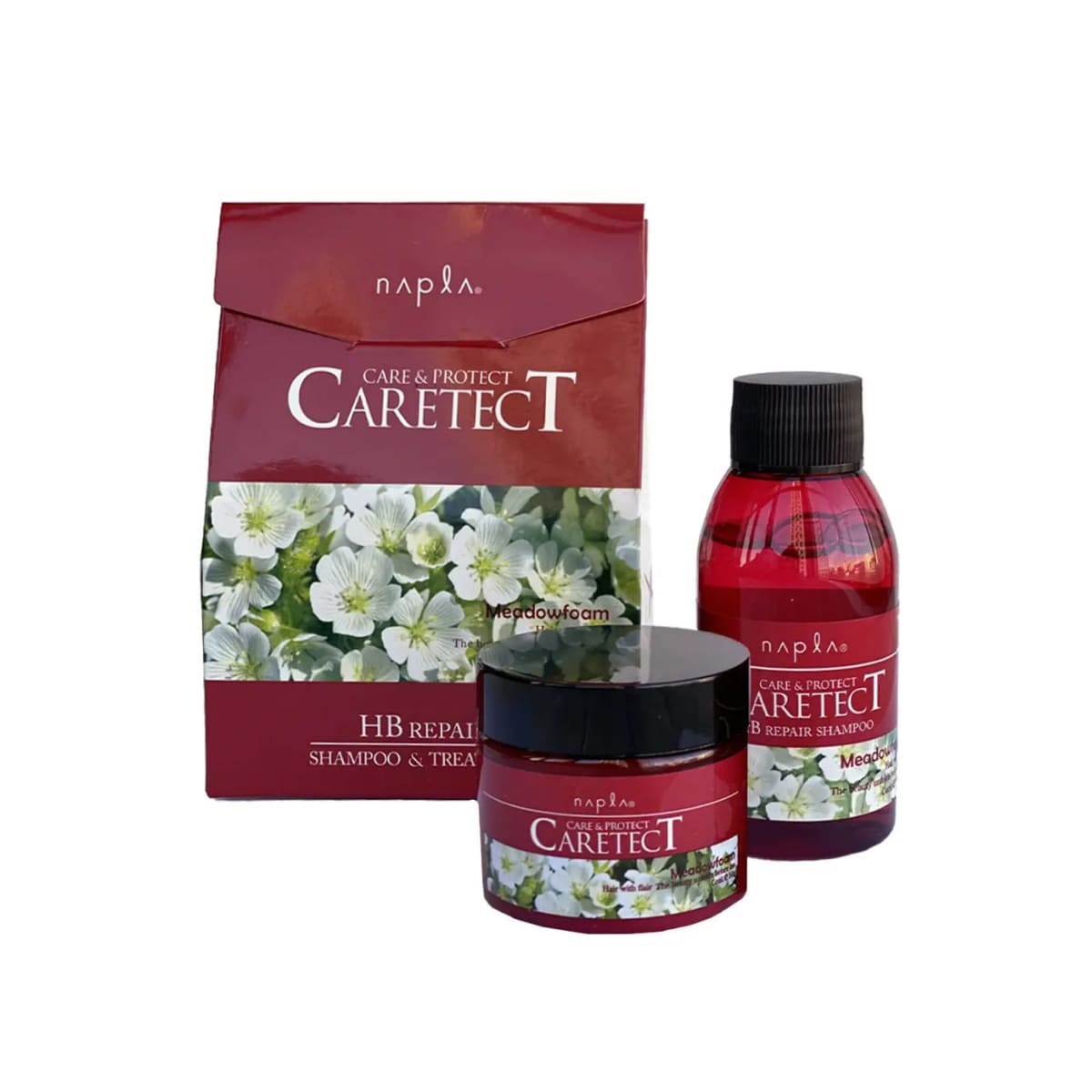 NAPLA CARETECT HB REPAIR SHAMPOO & REPAIR TREATMENT (Trial Set) (50 ml & 50 g) Набір для відновлення пошкодженого волосся